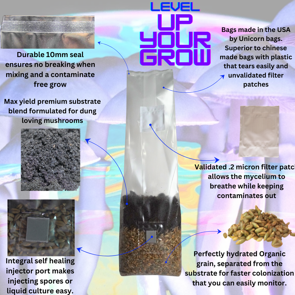 Mushroom Grow Kit - 4 Pack - All In One Mushroom Grow Bags